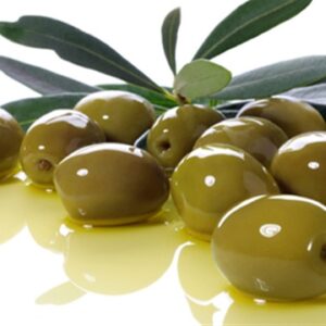 زیتون شیرازی