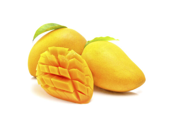 انبه الحکیم
