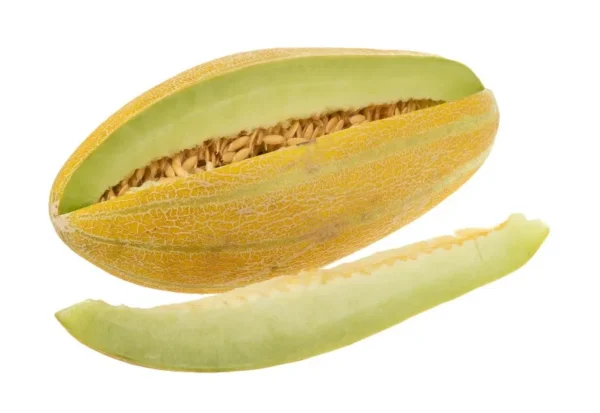 خربزه