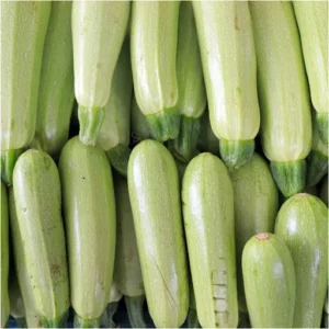 کدو خورشتی